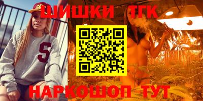 дживик Славгород