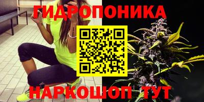 a pvp Среднеуральск