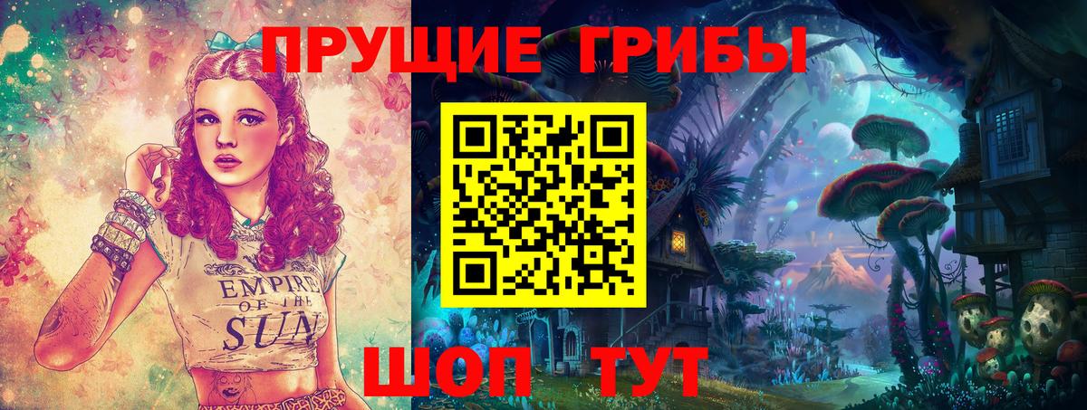 Галлюциногенные грибы MAGIC MUSHROOMS  купить закладку  Мурино  Вход с VPN 